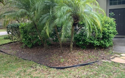 Photo of Brian R.'s yard after getting landscaping in Umatilla, FL