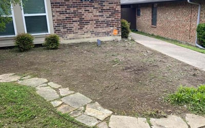 Photo of Michael B.'s yard after getting landscaping in Blue Ridge, TX