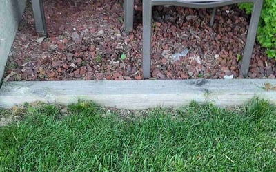 Photo of Angela B.'s yard after getting landscaping in Slinger, WI