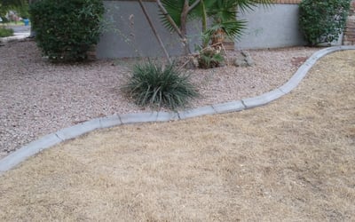 Photo of Jackie T.'s yard after getting landscaping in Sun City West, AZ