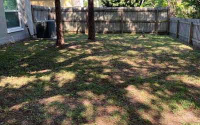 Photo of Dylan G.'s yard after getting landscaping in Clearwater Beach, FL