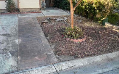 Photo of Jijo J.'s yard after getting tree care in Los Altos, CA