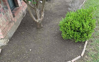 Photo of Holly G.'s yard after getting landscaping in Mesquite, TX