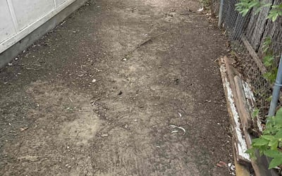 Photo of Rachel H.'s yard after getting landscaping in Wilmer, TX