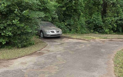 Photo of Kathy C.'s yard after getting landscaping in Greenville, SC