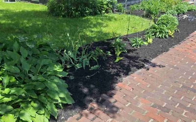 Photo of David S.'s yard after getting landscaping in Gorham, ME