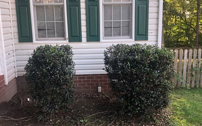 Photo of Laura E.'s yard after getting landscaping in Columbia, VA