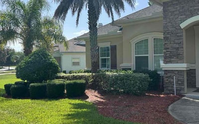 Photo of Teresita F.'s yard after getting tree care in Fort Myers, FL