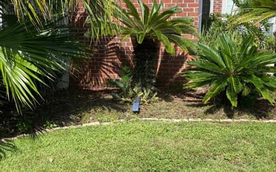 Photo of Lisa D.'s yard after getting landscaping in Gonzalez, FL