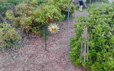 Photo of James B.'s yard after getting landscaping in Marietta, GA