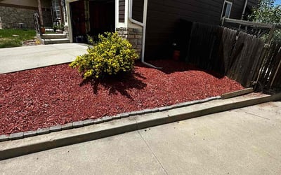 Photo of Dean S.'s yard after getting landscaping in Franktown, CO