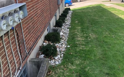 Photo of Carlos C.'s yard after getting landscaping in De Mossville, KY