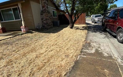 Photo of Stephanie S.'s yard after getting landscaping in Sloughhouse, CA