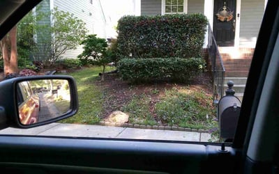 Photo of Andrea D.'s yard after getting landscaping in Huntersville, NC