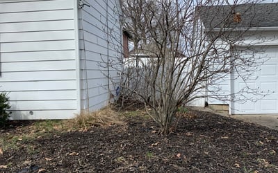 Photo of Mary B.'s yard after getting landscaping in Bluffton, IN