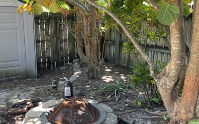 Photo of Gerald R.'s yard after getting tree care in Fruitland Park, FL
