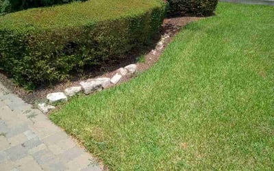 Photo of Susanne S.'s yard after getting tree care in Dickinson, TX