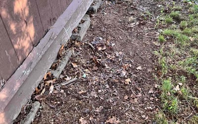 Photo of Jennifer D.'s yard after getting landscaping in Suffield, CT