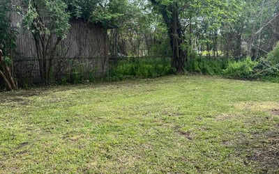 Photo of Susan M.'s yard after getting landscaping in New Iberia, LA