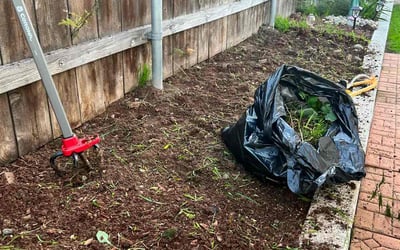 Photo of Cathy O.'s yard after getting landscaping in Campo, CA