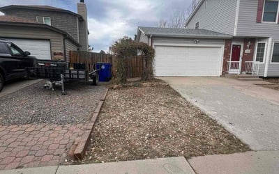 Photo of Anne S.'s yard after getting tree care in Evergreen, CO