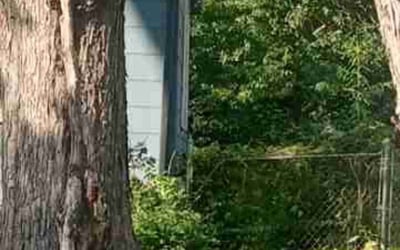 Photo of Rachel G.'s yard after getting landscaping in De Soto, KS