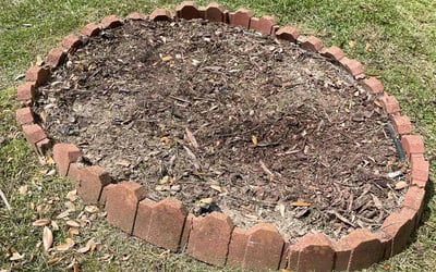 Photo of Richard W.'s yard after getting landscaping in Baton Rouge, LA
