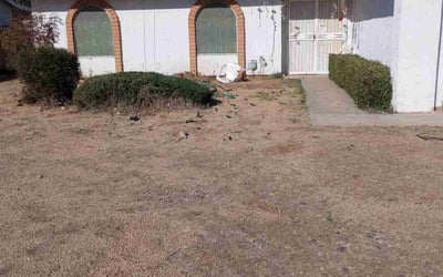 Photo of Kelly N.'s yard after getting landscaping in Chandler Heights, AZ