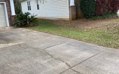 Photo of Nancy R.'s yard after getting landscaping in Panacea, FL