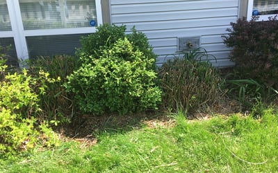 Photo of Matthew H.'s yard after getting landscaping in Heath, OH