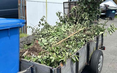 Photo of Shawn P.'s yard after getting landscaping in West Springfield, MA