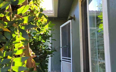 Photo of Robert J.'s yard after getting landscaping in Acampo, CA