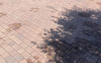 Photo of Andrew S.'s yard after getting landscaping in Boynton Beach, FL