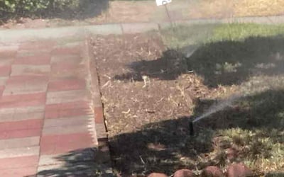 Photo of Brenda C.'s yard after getting landscaping in Desert Hot Springs, CA