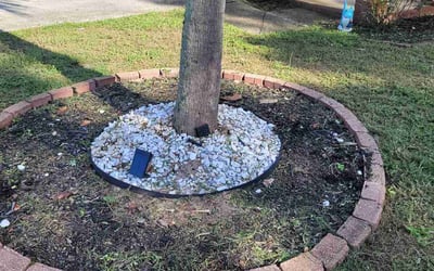 Photo of Cole D.'s yard after getting landscaping in Destin, FL