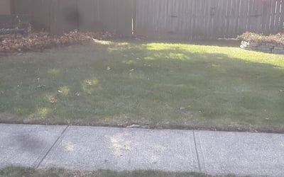 Photo of Donald E.'s yard after getting landscaping in Saint Louisville, OH