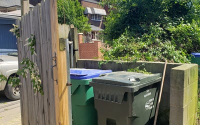 Photo of Mary M.'s yard after getting tree care in Richmond, VA