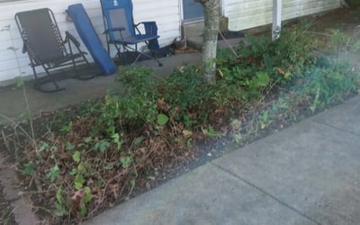 Photo of Mark J.'s yard after getting landscaping in Langhorne, PA