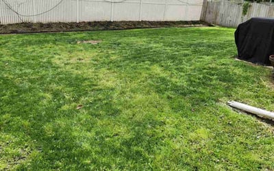 Photo of Katie M.'s yard after getting landscaping in Mathews, VA