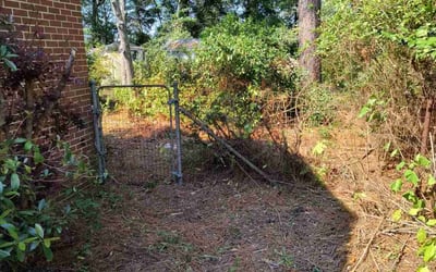 Photo of Connie L.'s yard after getting landscaping in Camden, SC