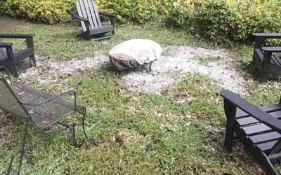 Photo of Kimberly C.'s yard after getting tree care in Roswell, GA