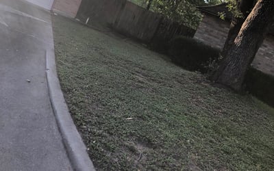 Photo of Ryan R.'s yard after getting landscaping in Hankamer, TX