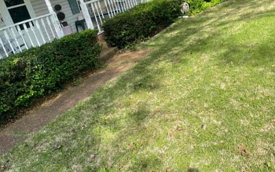 Photo of Susan D.'s yard after getting landscaping in Columbia, TN