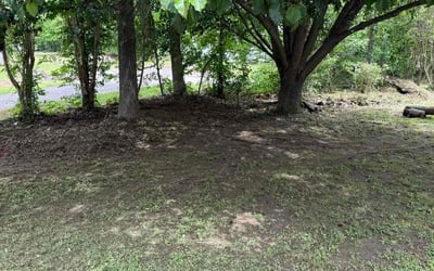 Photo of Maria F.'s yard after getting landscaping in Douglasville, GA