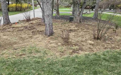 Photo of John H.'s yard after getting landscaping in Wyckoff, NJ