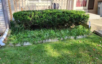 Photo of LaTosha G.'s yard after getting landscaping in Partlow, VA