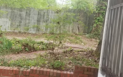 Photo of James G.'s yard after getting landscaping in Pell City, AL