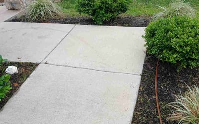 Photo of Joe P.'s yard after getting landscaping in The Colony, TX
