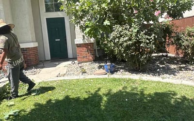Photo of Monique A.'s yard after getting tree care in Salinas, CA