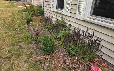 Photo of John C.'s yard after getting landscaping in Hanover, MN